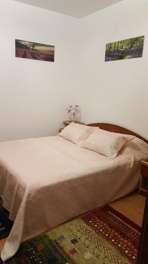 Appartamento Casa Soarelui Roşu Esterno foto